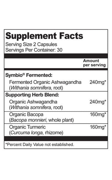 Living Alchemy, Ferment Active Ashwagandha Stress Support, 60 Vegan Capsules