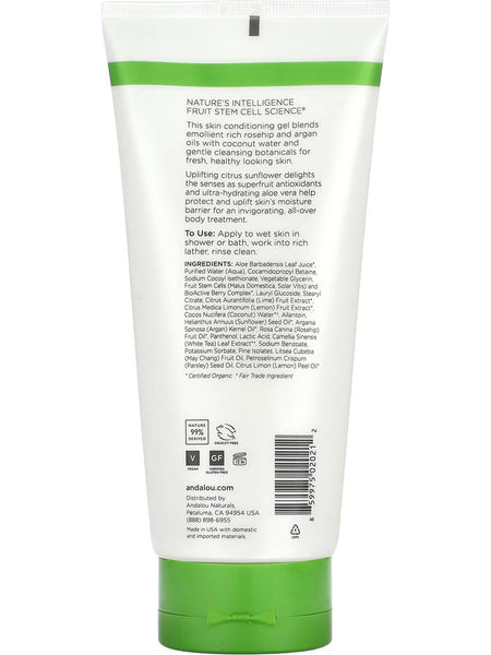 Andalou Naturals, Uplifting Citrus Sunflower Shower Gel, 8.5 fl oz