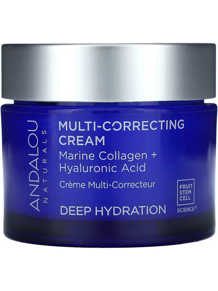 Andalou Naturals, Deep Hydration Multi-Correcting Gel Cream, 1.7 fl oz