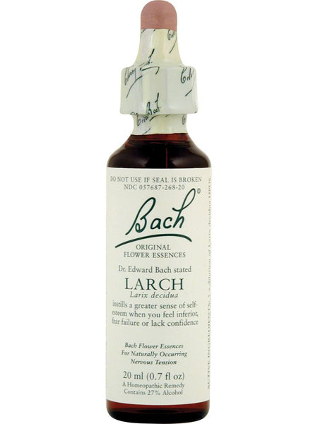 Larch Flower Essence, 0.7 oz (20 ml) – Herbs Direct