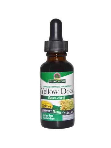 Yellow Dock Alcohol Free Extract, 1 oz, Nature's Answer